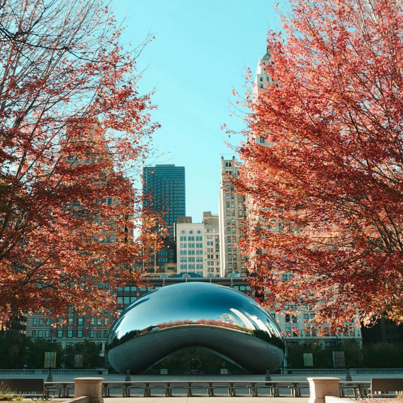 Illinois Business Search: The Ultimate Guide to Checking and Researching Businesses in Illinois
